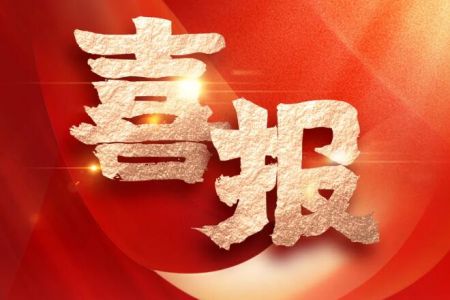 创新驱动智刷 加冕高新30强