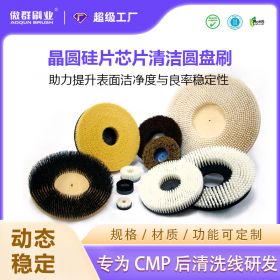 晶圆硅片芯片清洁圆盘刷