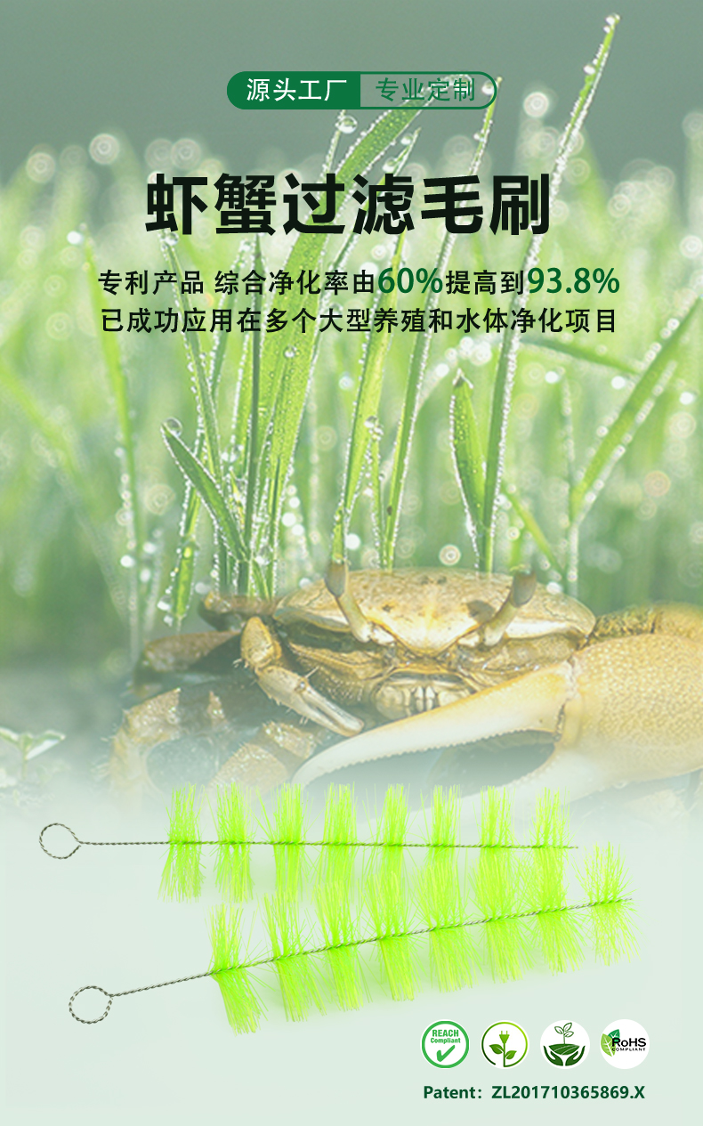 虾蟹过滤毛刷01