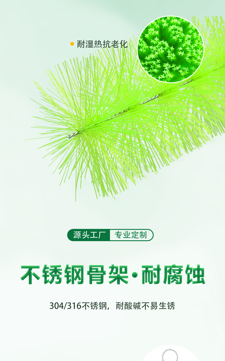 虾蟹过滤毛刷03