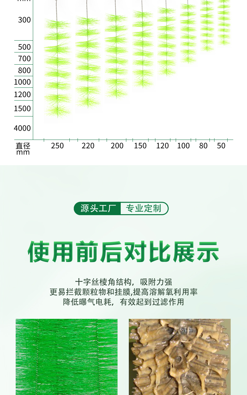 虾蟹过滤毛刷07