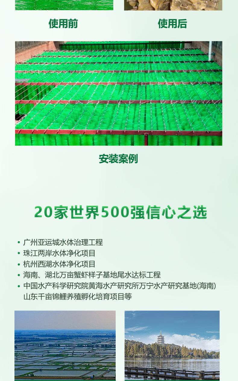 虾蟹过滤毛刷08