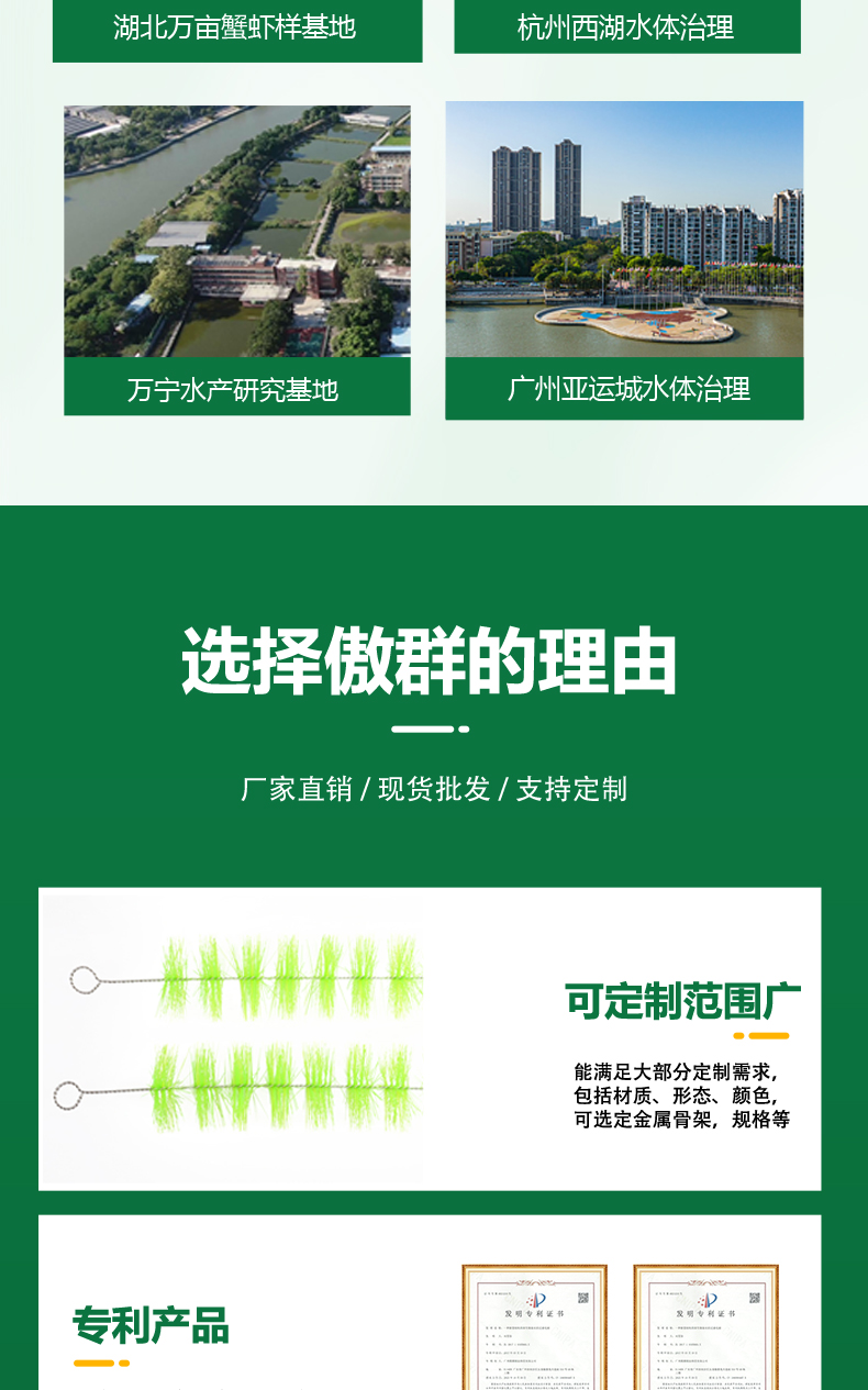 虾蟹过滤毛刷09