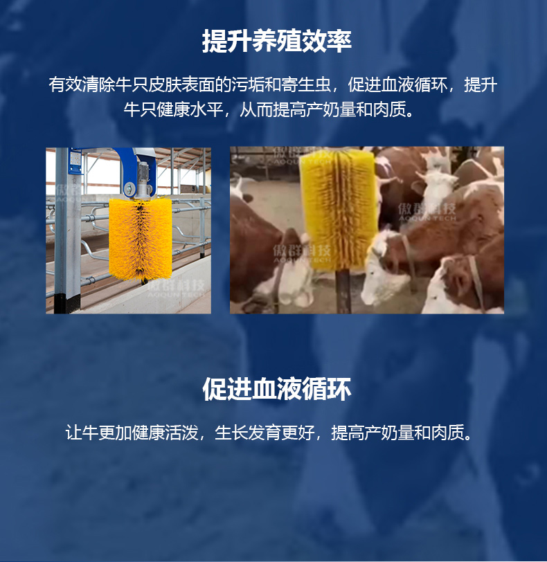 牛体清洁刷04