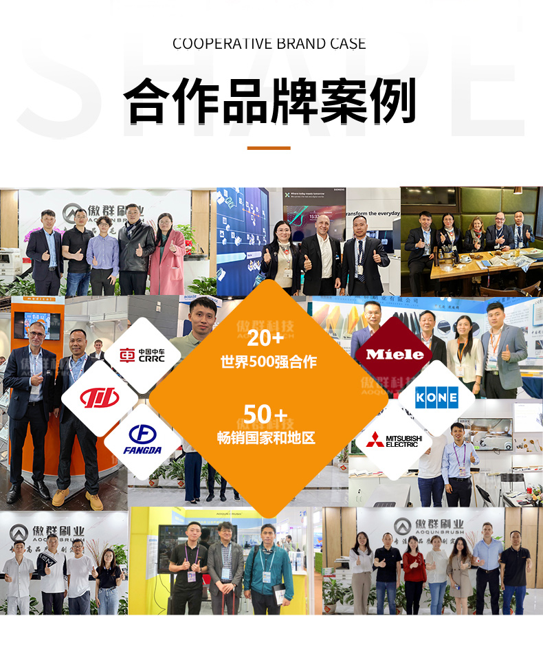 牛体清洁刷12