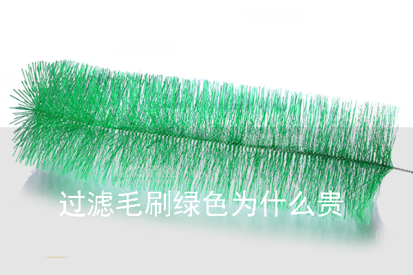 过滤毛刷绿色为什么贵