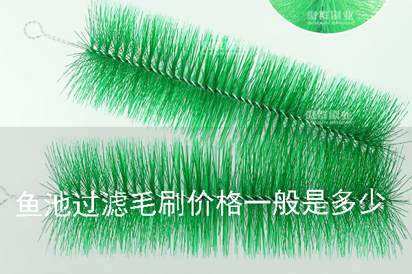 鱼池过滤毛刷的价格一般是多少
