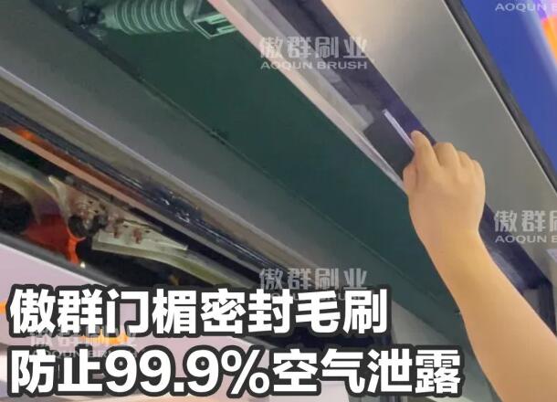 定制化轨道交通毛刷解决方案